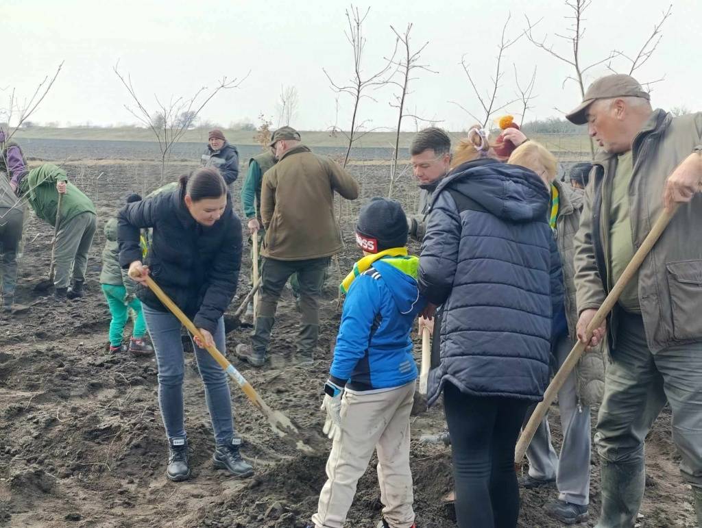 Садња-Кикинда-(6)