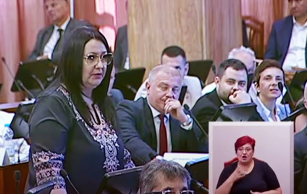 Stanislava-za-portal