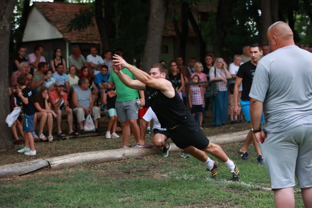 Krajiski-viseboj-(8)