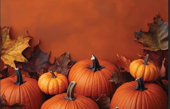 547091737-1182271773928203-5945173653355982960-n-(1)