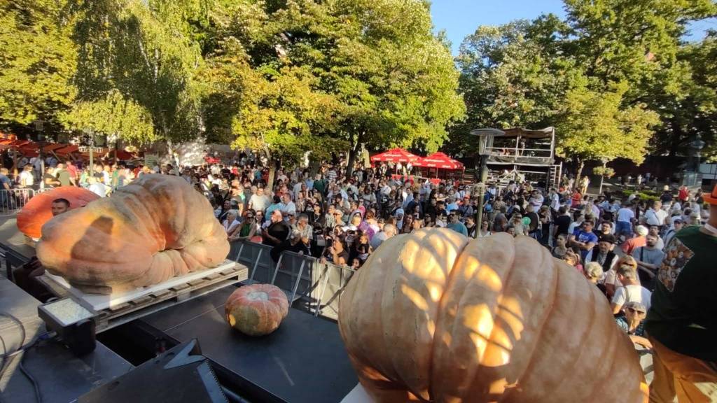 dani-ludaje-pobednici-2025-(3)