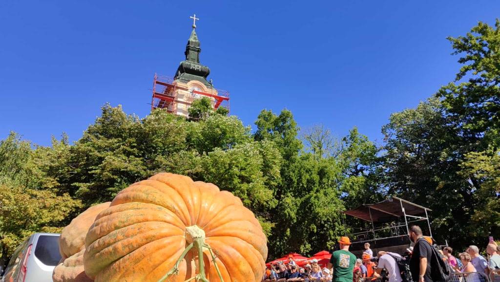 kudaje-pobednice-2025-(3)