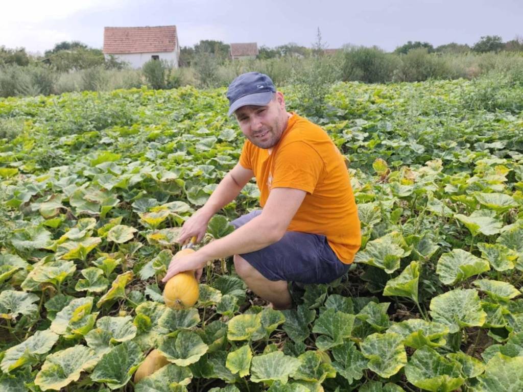 ludaje-krnic-2025-(1)