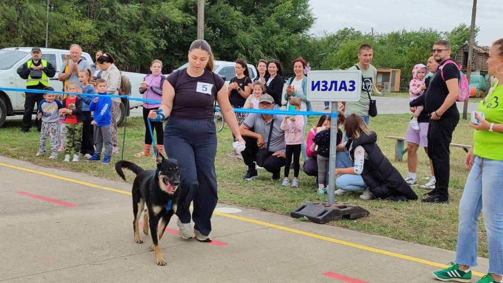 psi-mesanci-2025-(8)