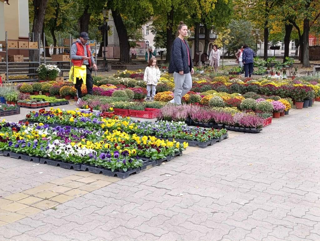 sajam-cveca-oktobar-2025-(9)