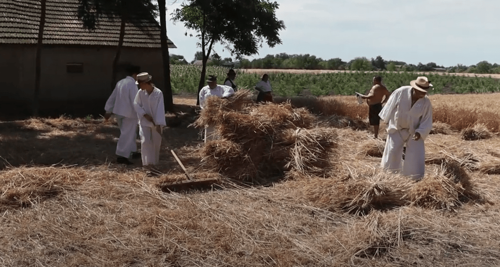 zetelacke-svecanosti-sajan
