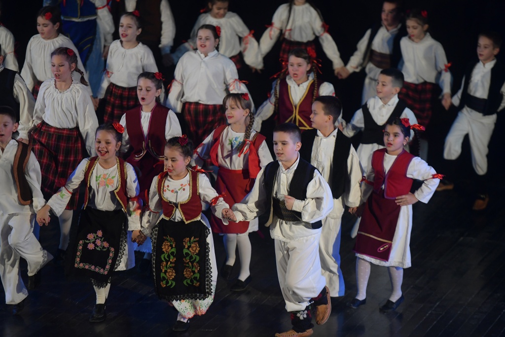 FOTO SRETENOVIC 063-8106758