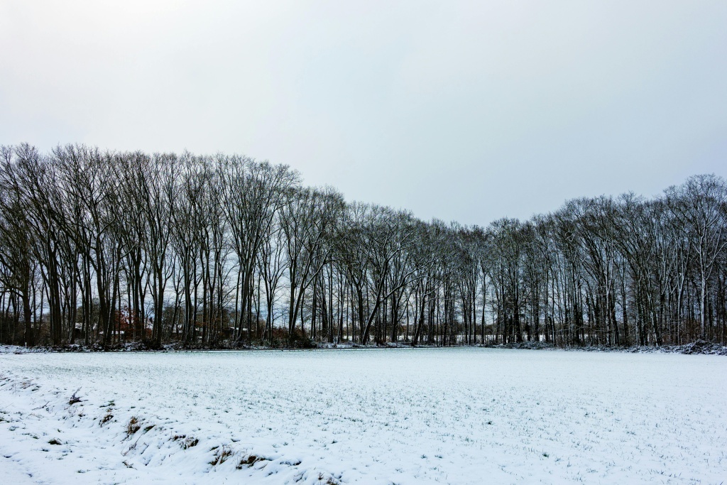 pexels-strannik-sk-35633617