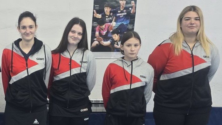 стони-тенис