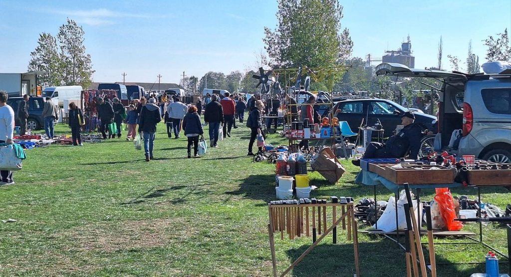 647202915-919094747167171-757307227264343110-n