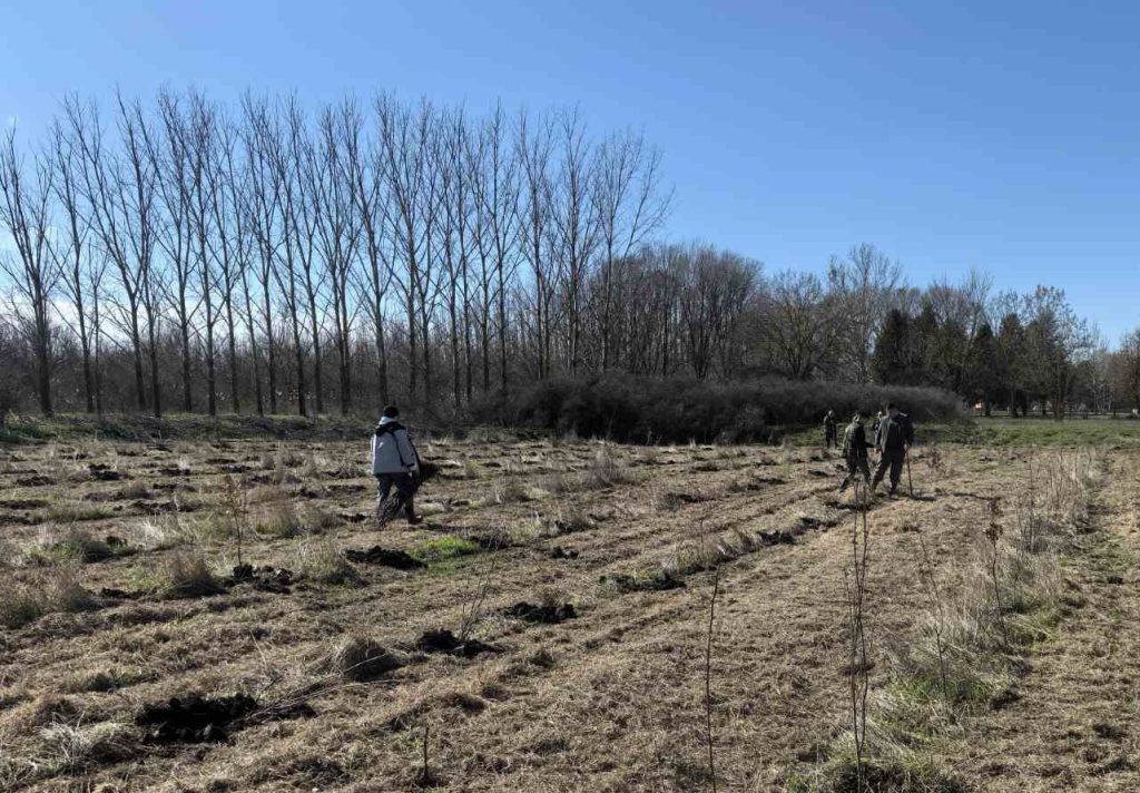 посумљавање-(2)