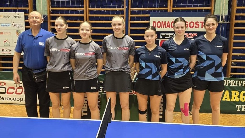 стони-тенис-1