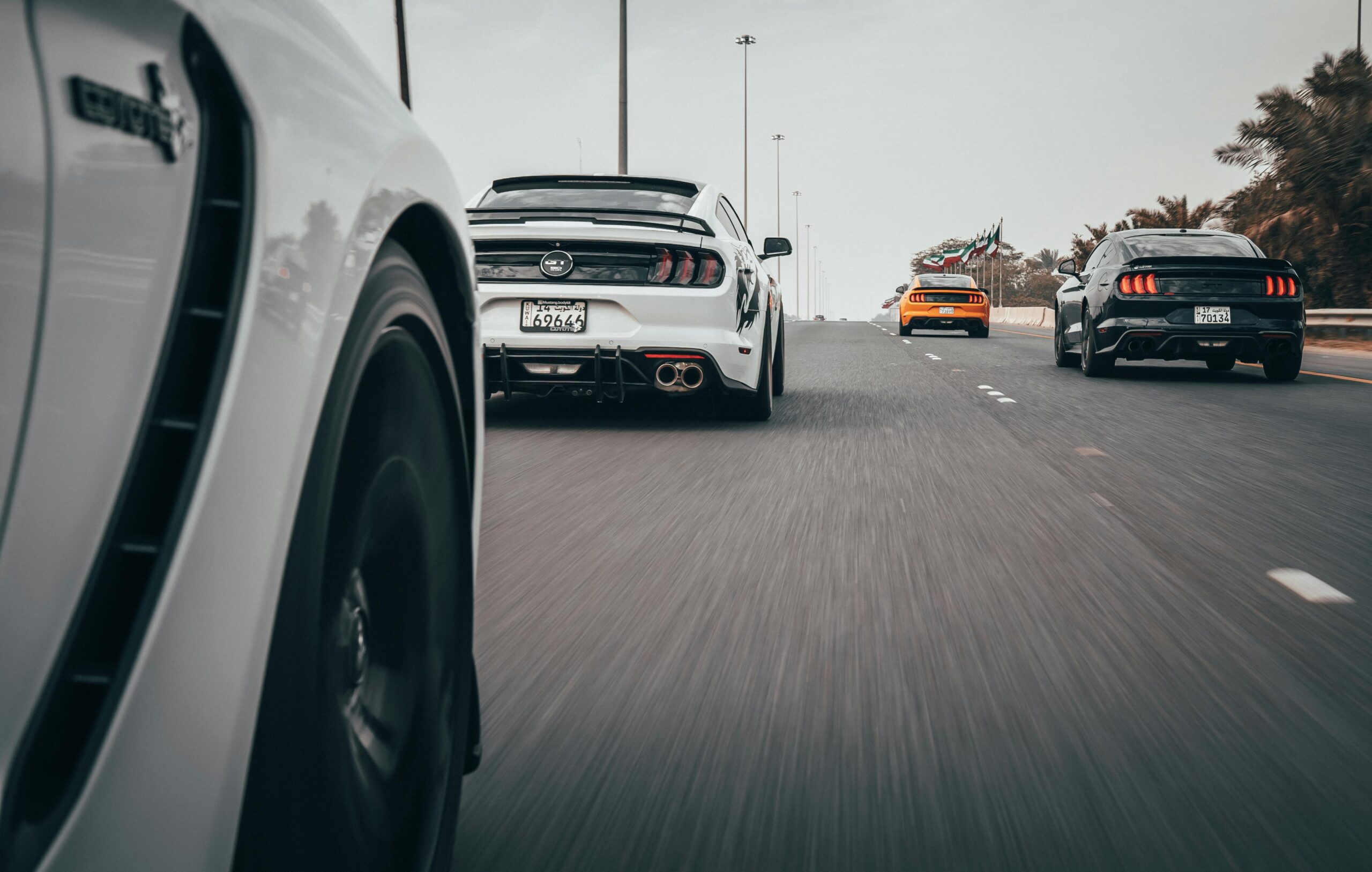 пеxелс-а2про-6729273