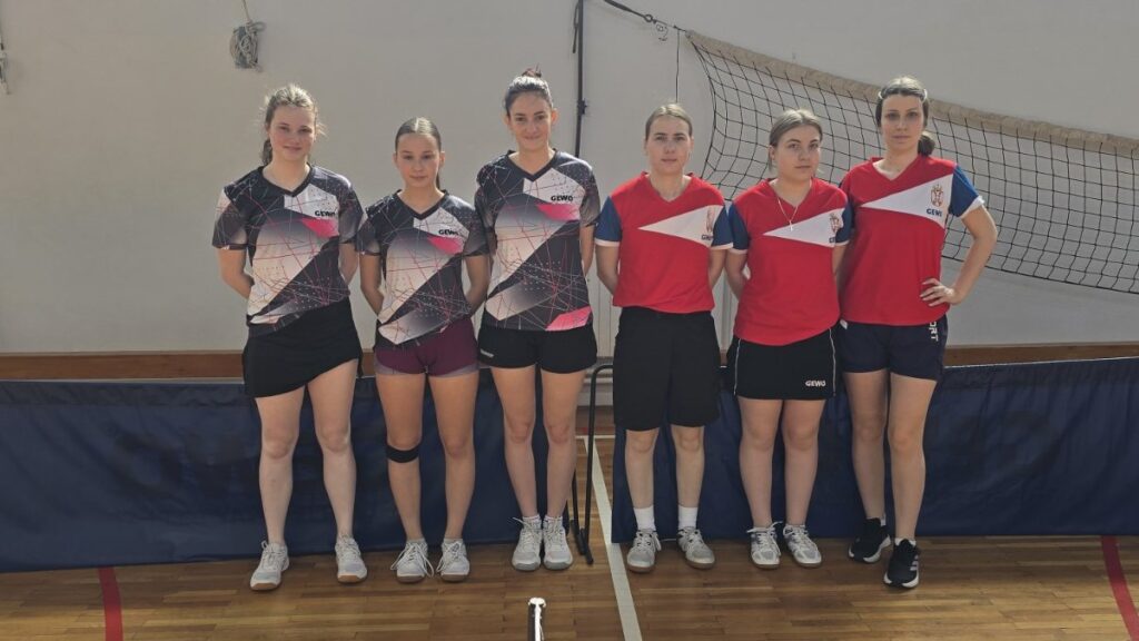 стони-тенис