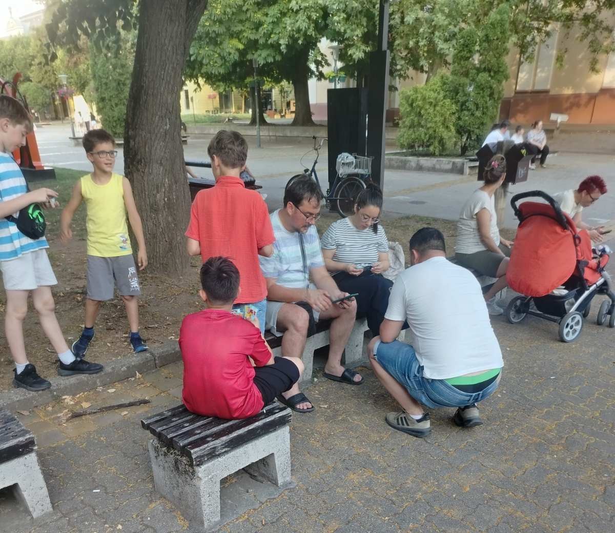 слицице