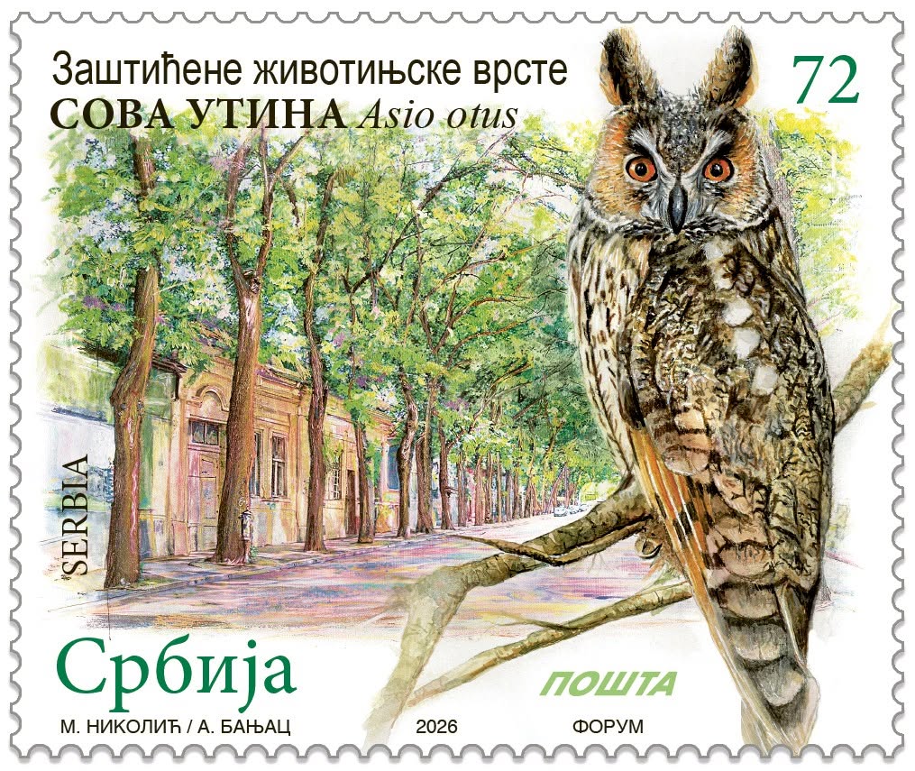 сова-утина