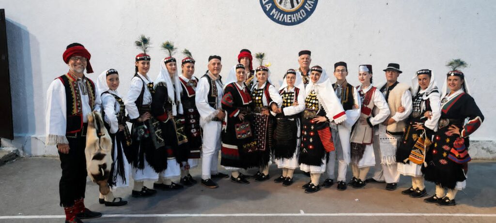kocici-sela-srbije-(1)
